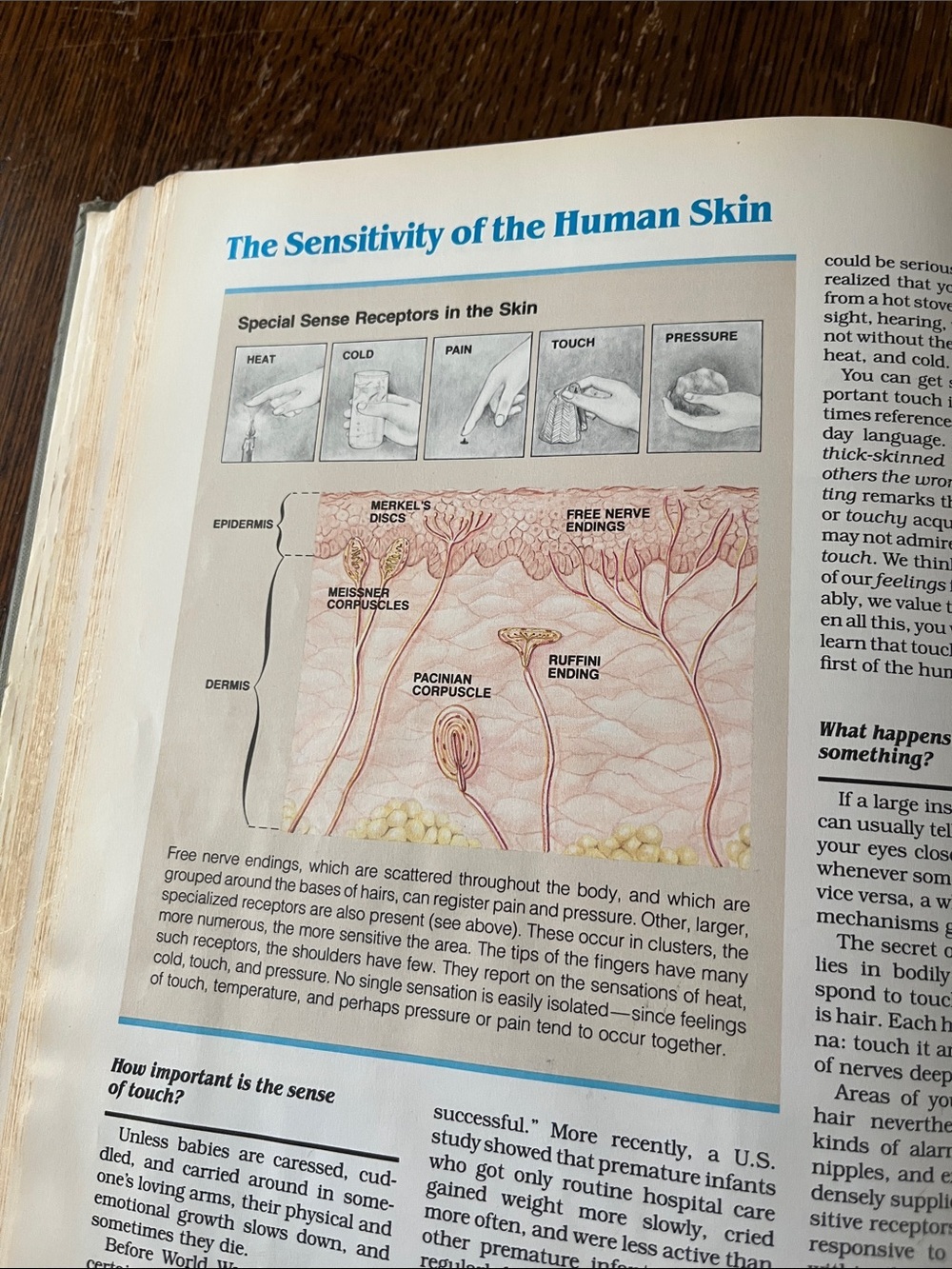 Reader's Digest "ABC's of The Human" Hardcover Book - Cream Cover Page - Picture 8 of 9